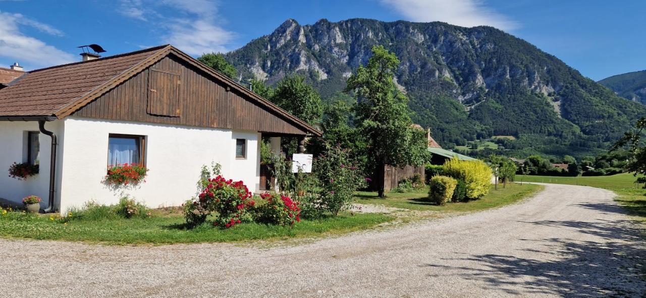 Leo-Hof Apartman Hirschwang Kültér fotó